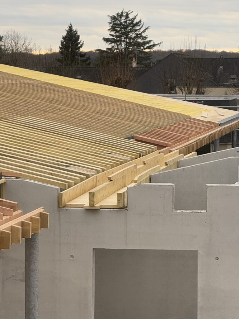 20241209_141855896_iOS