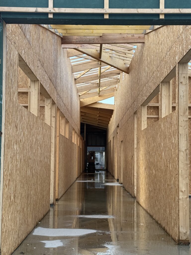 20250106_151017443_iOS